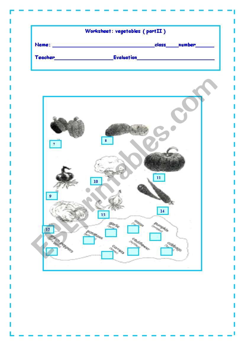 vegetables worksheet