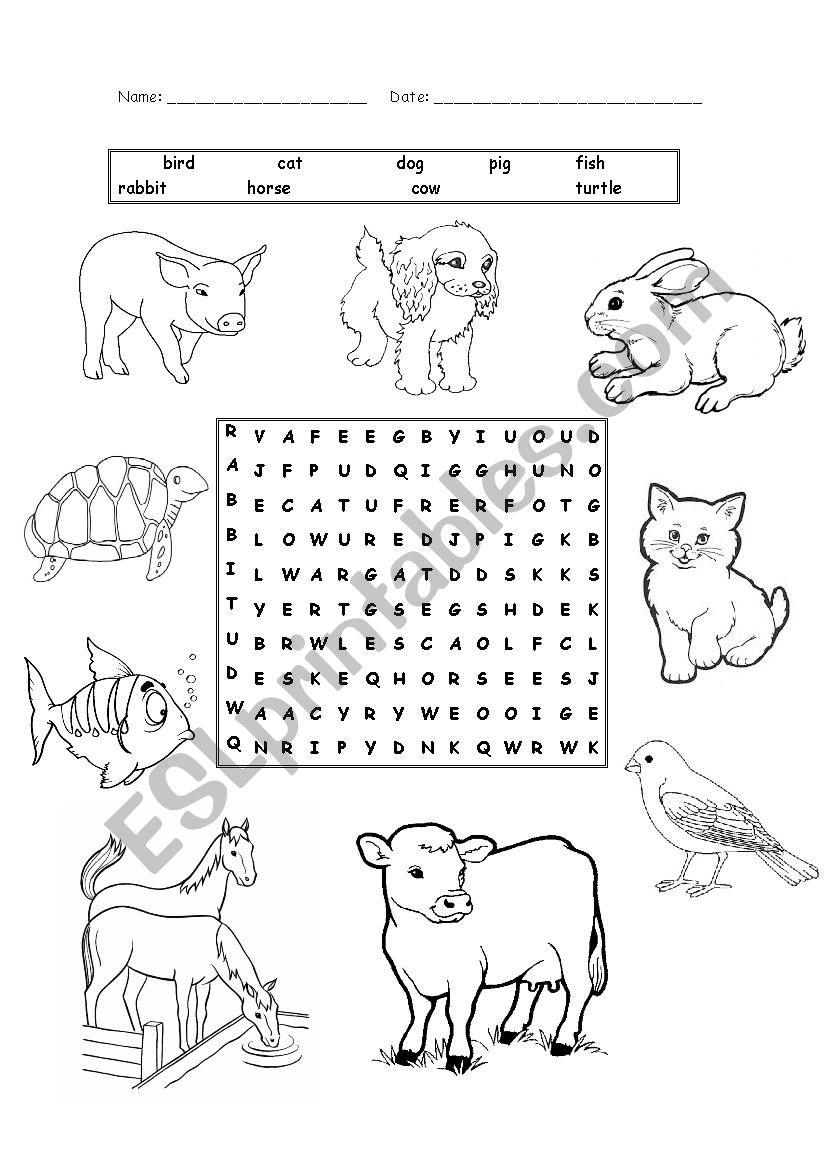 animals_pets worksheet