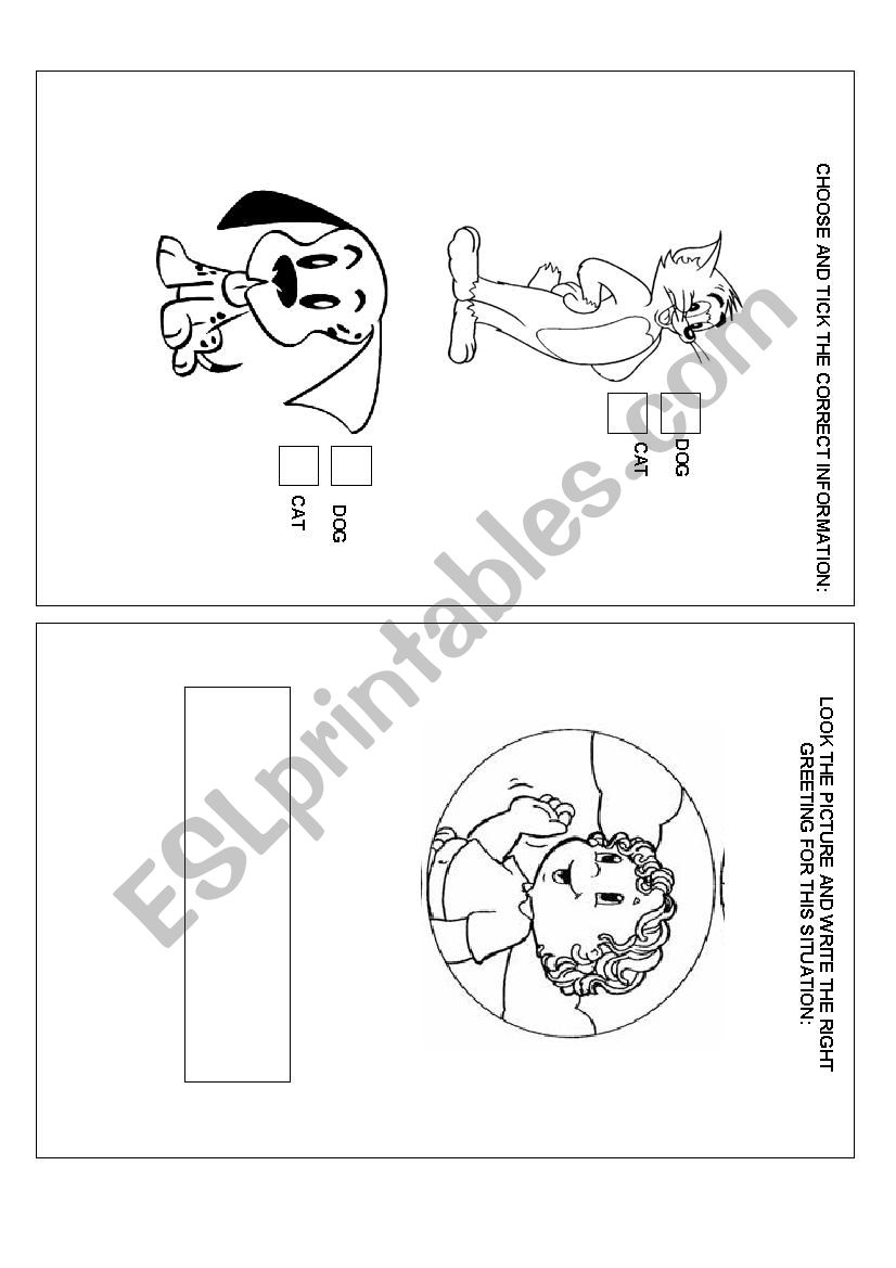 Animals dog cat and greetings worksheet