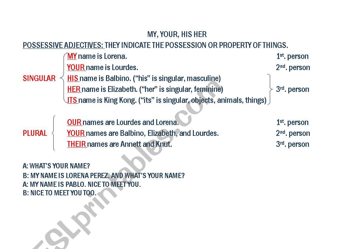 Possessive Pronouns worksheet