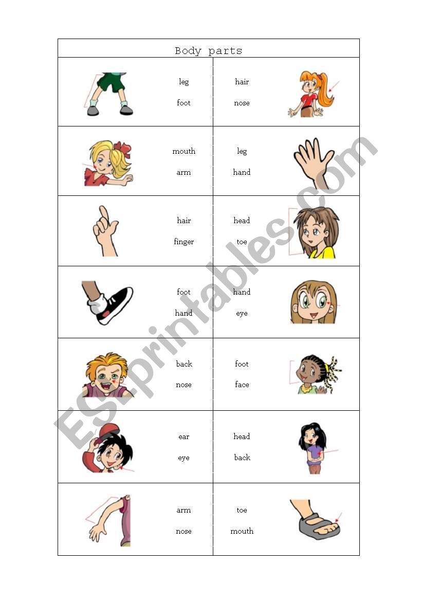 Body Parts worksheet