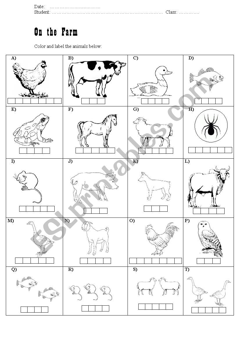 On The Farm Animals Singular And Plural ESL Worksheet By Mag14