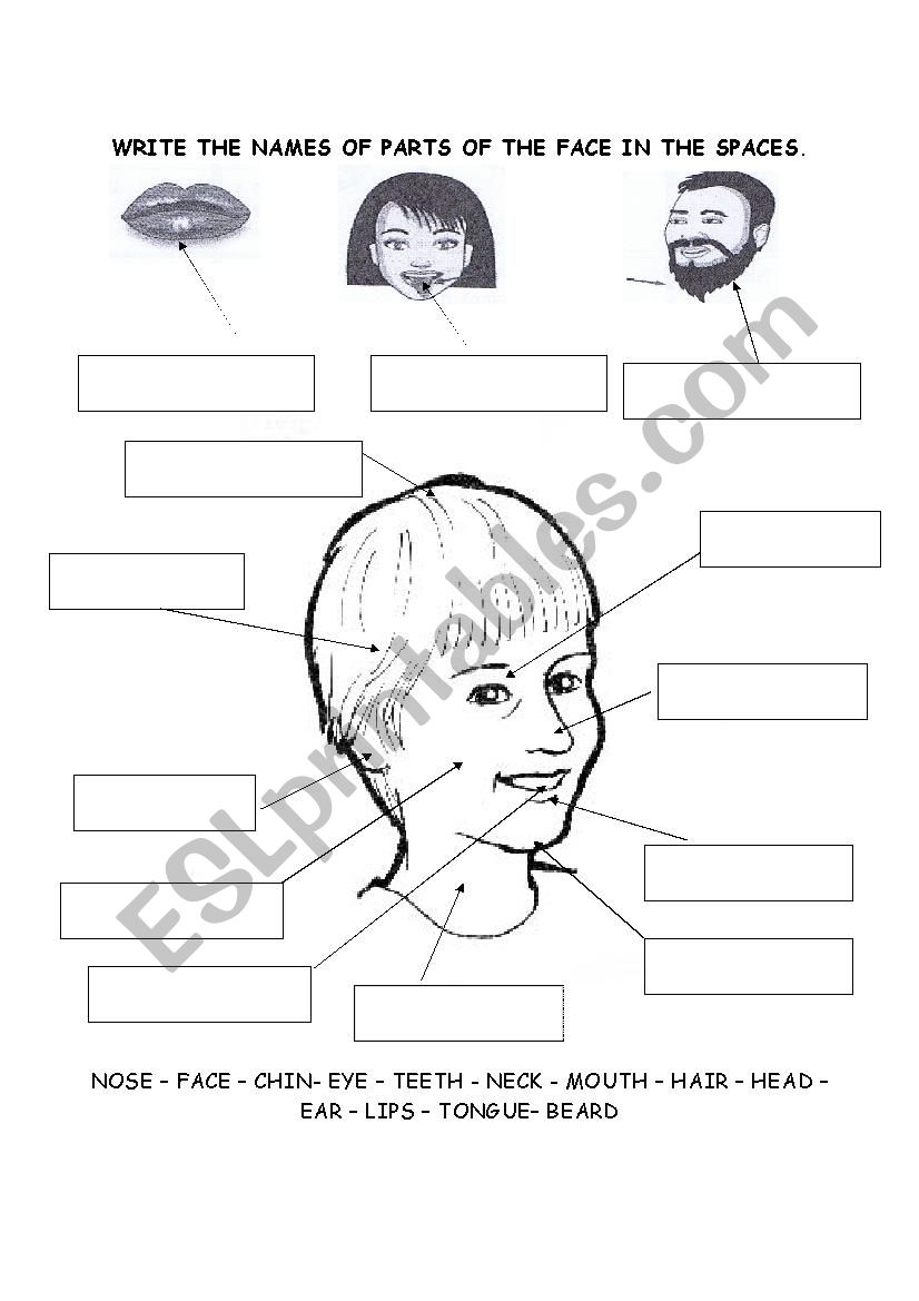 Body: my face worksheet