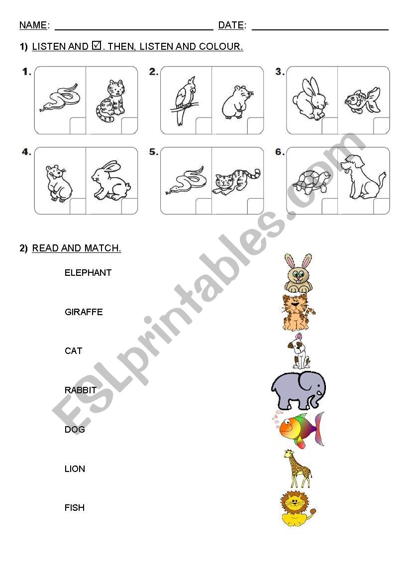 1st grade Test - animals worksheet