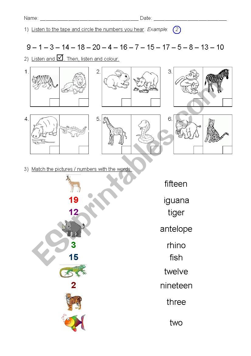 2nd grade Test - numbers 1 to 20 & animals