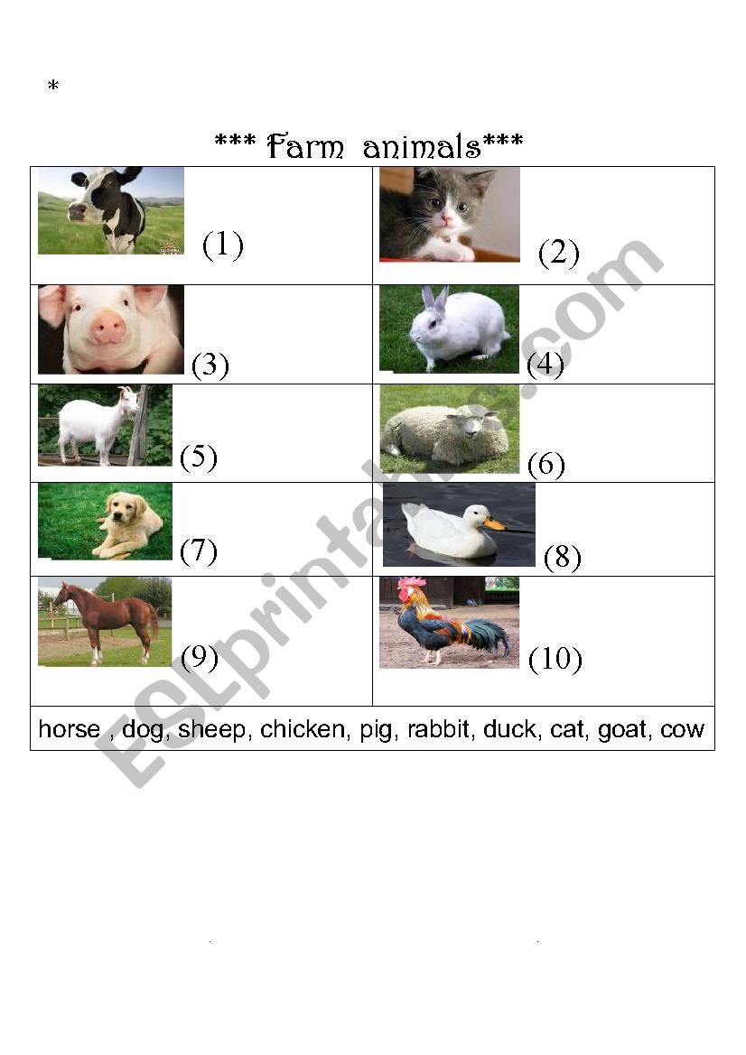 Farm animals worksheet