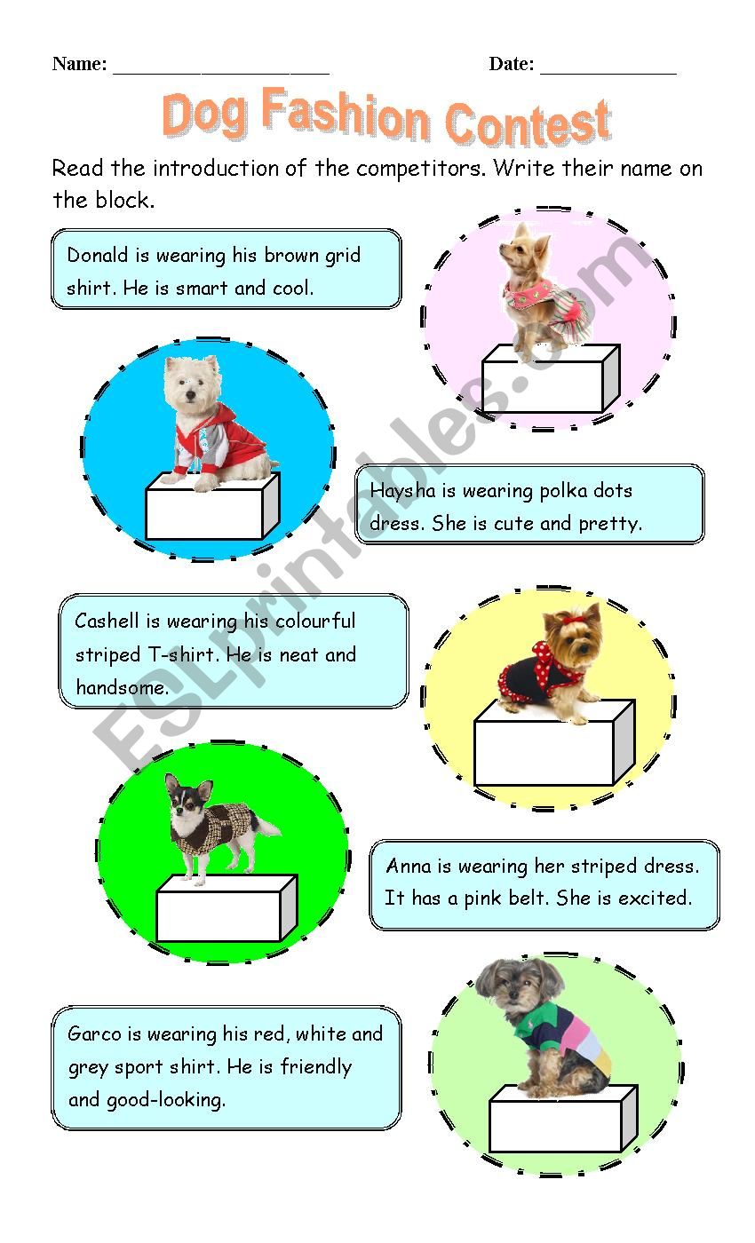 Dog Fashion Contest worksheet