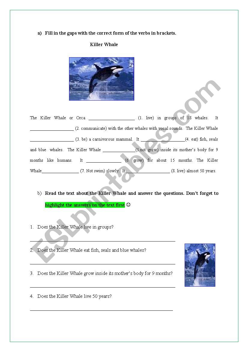 Whales (Simple Present) worksheet