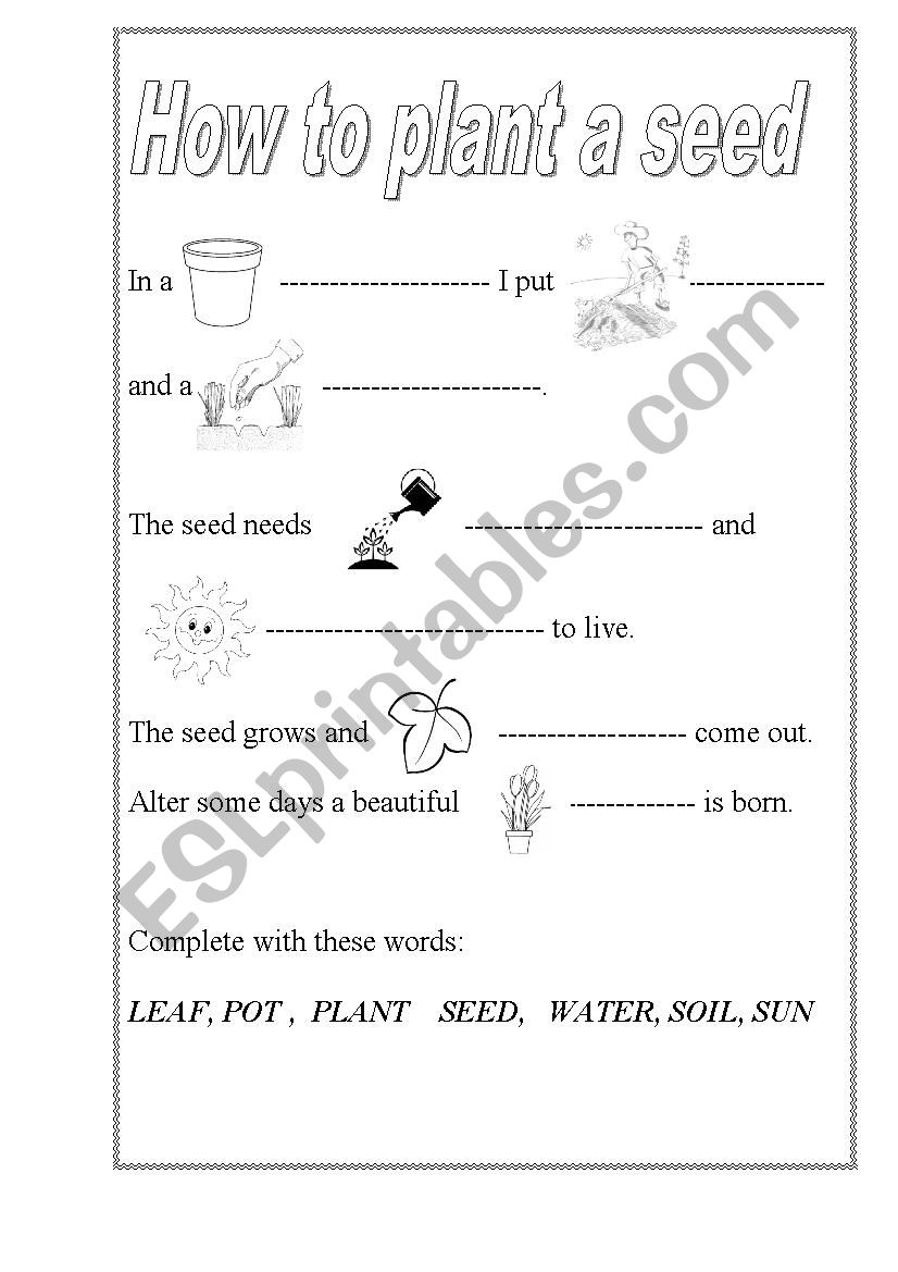 How to plant a seed worksheet