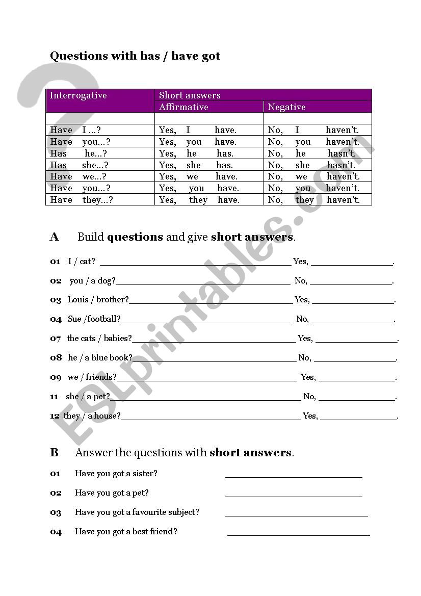 Questions with has/have got worksheet