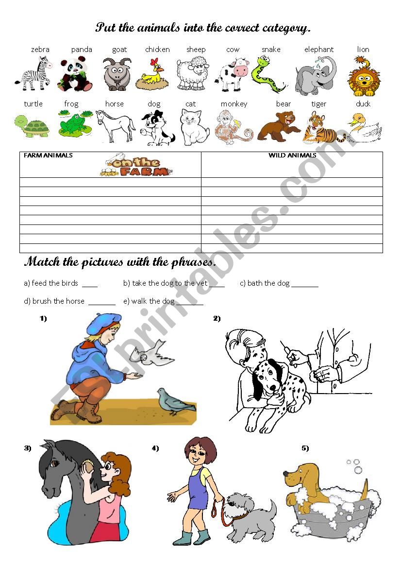 Animals   worksheet