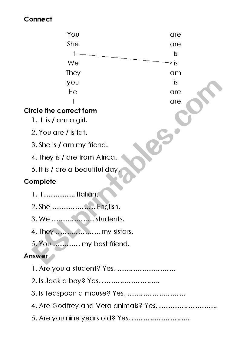 affermative form worksheet