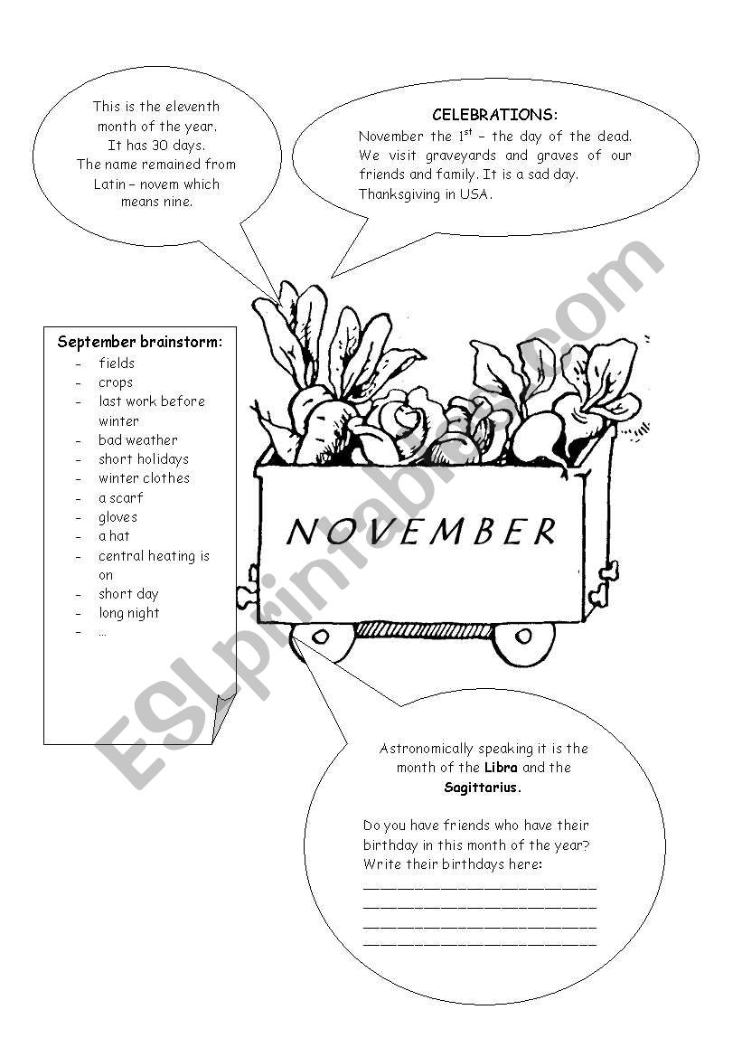 MONTHS - NOVEMBER worksheet