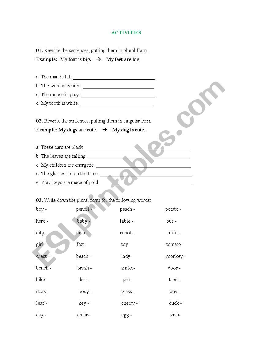 PLURAL ACTIVITY worksheet