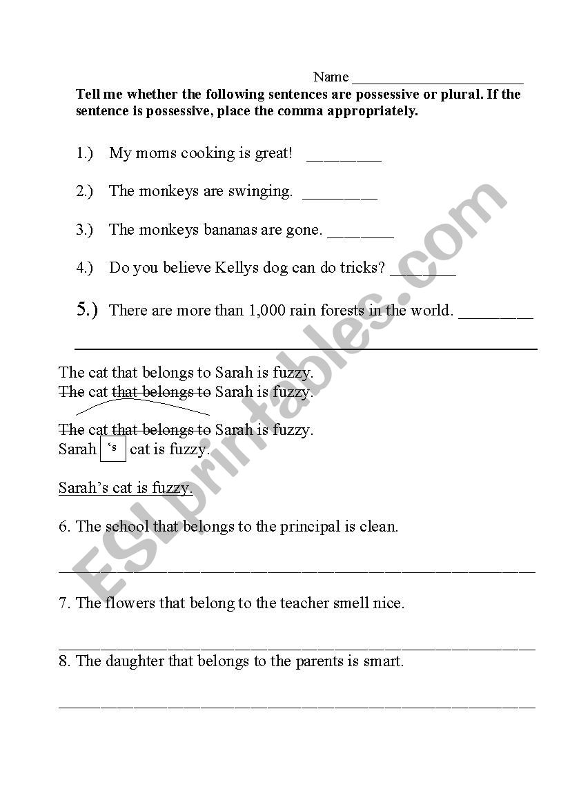 Quiz on Possessive Nouns worksheet