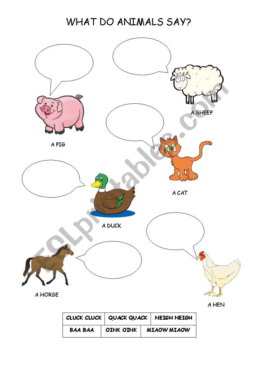what do animals say worksheet