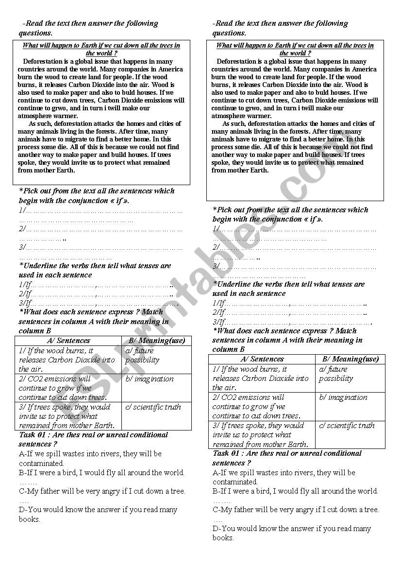 conditional  worksheet