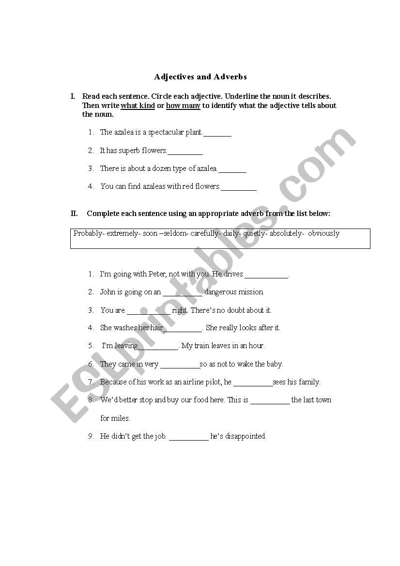 Adjectives and Adverbs worksheet