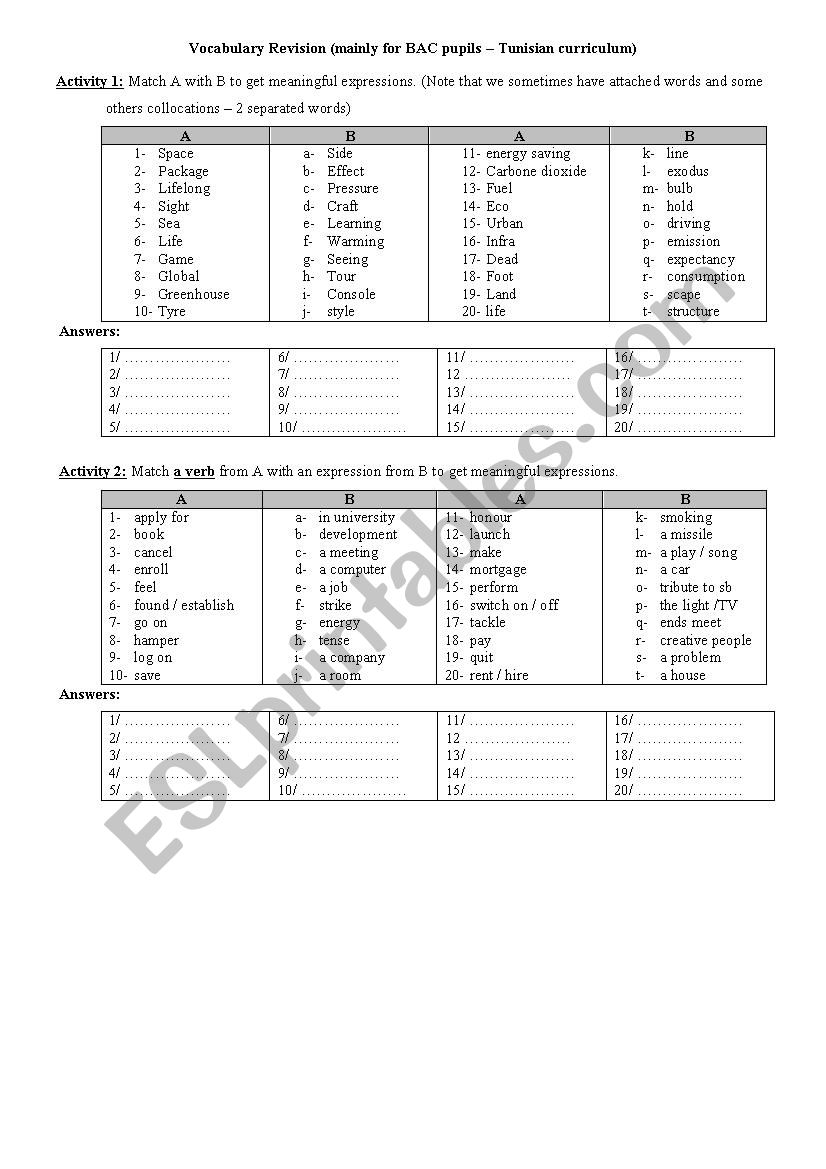 Bac Vocabulary Revision worksheet