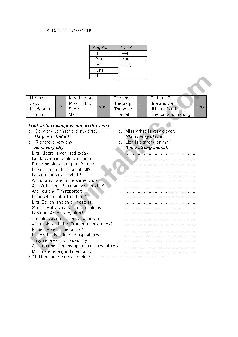 subject pronouns worksheet