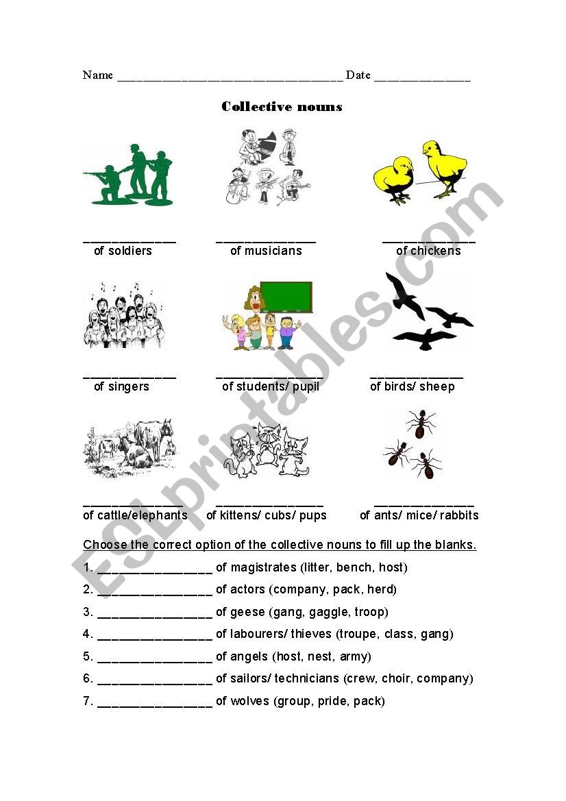 collective nouns worksheet