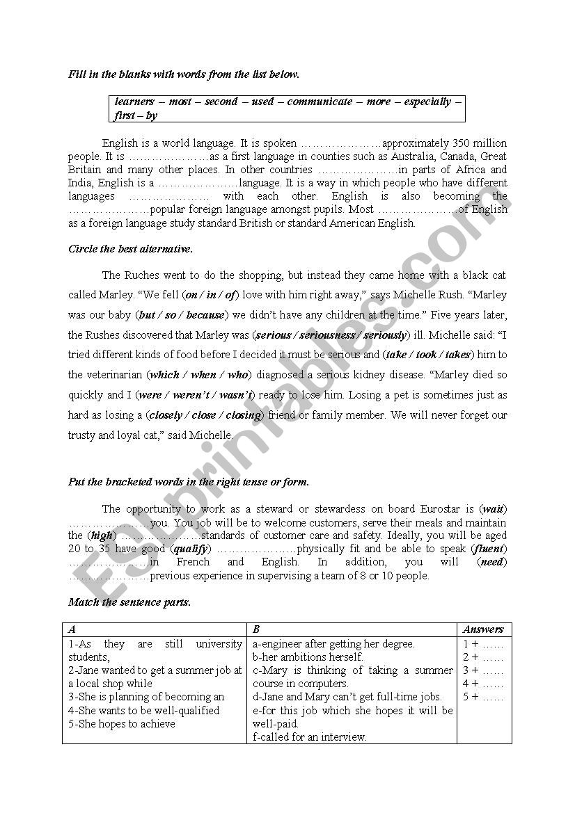 Mid Term 3 for First form worksheet