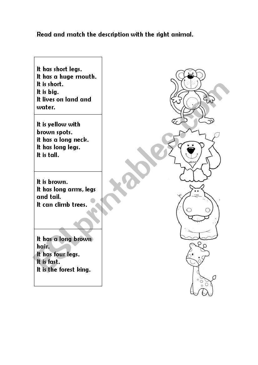 Animals description worksheet