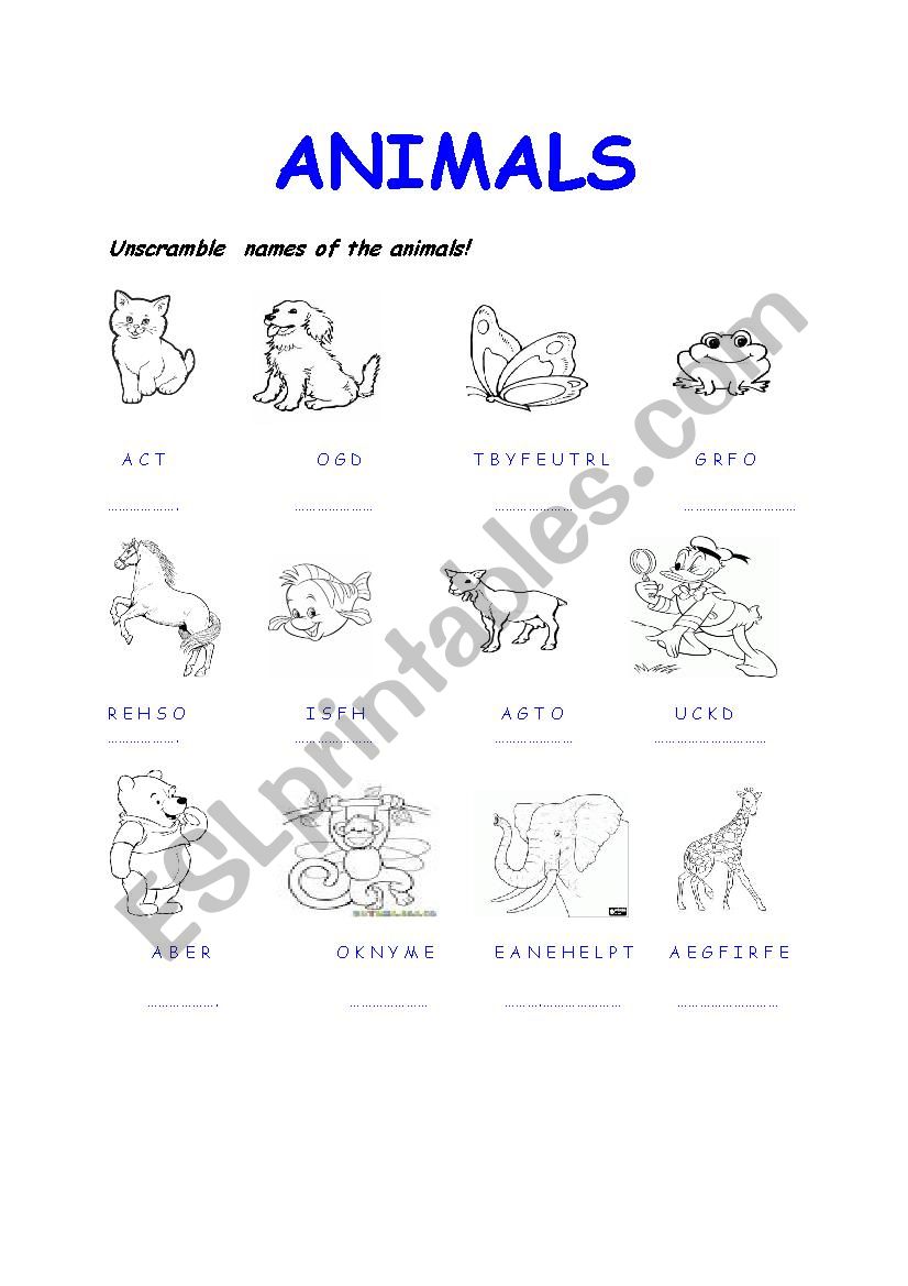 animals worksheet