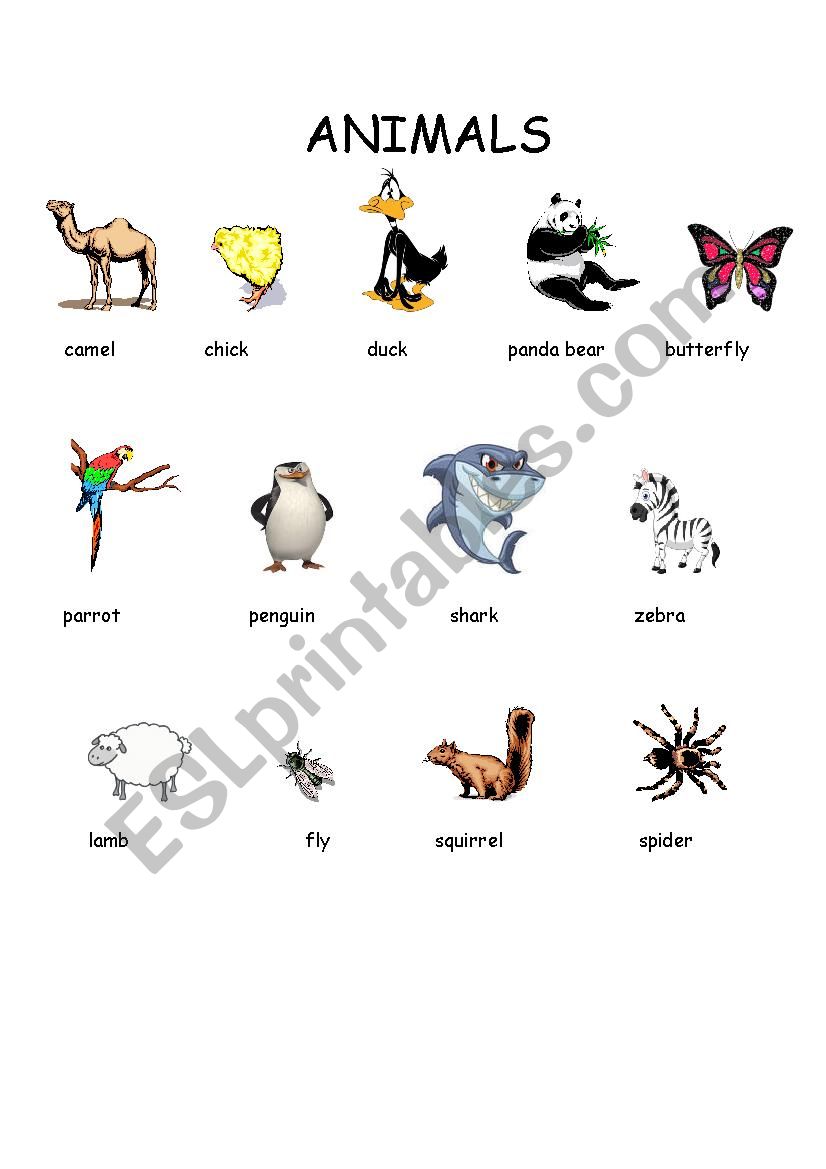 animals2 worksheet