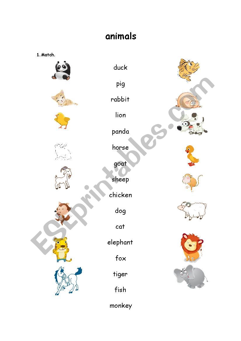 animals worksheet