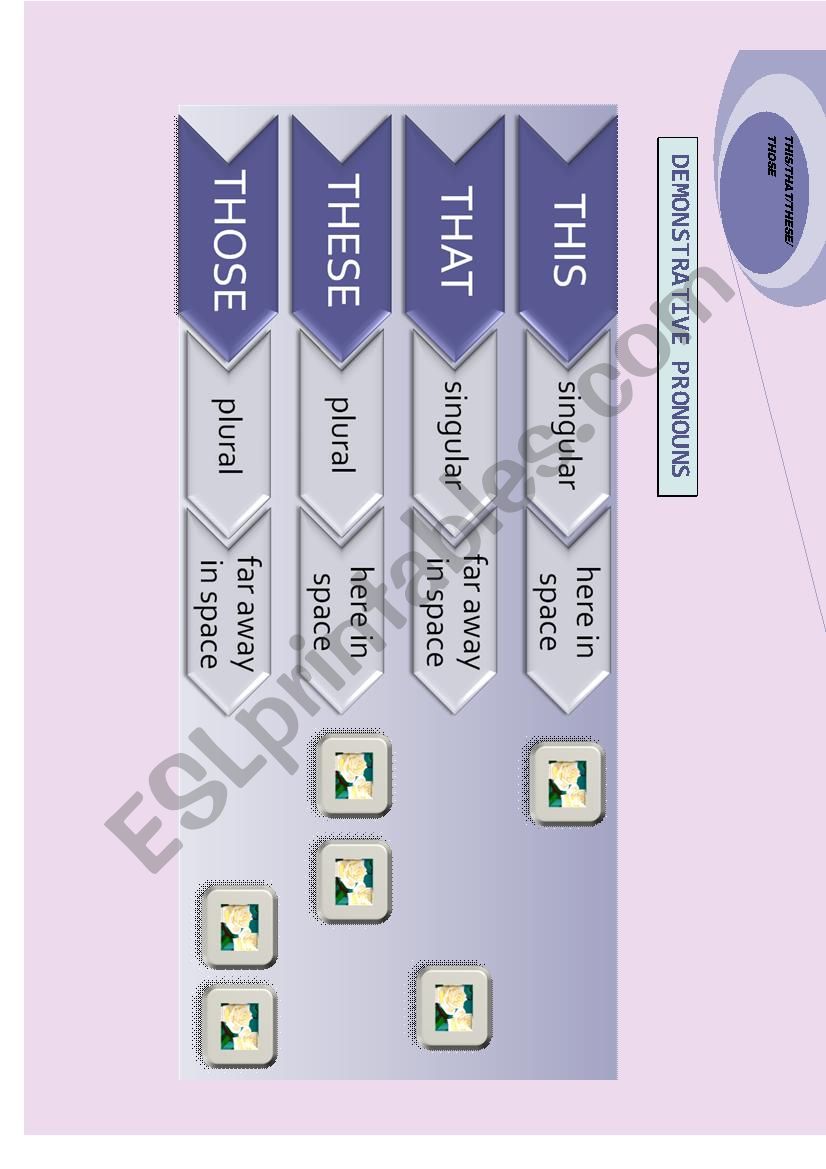 Demonstrative pronouns- this, that, these, those 