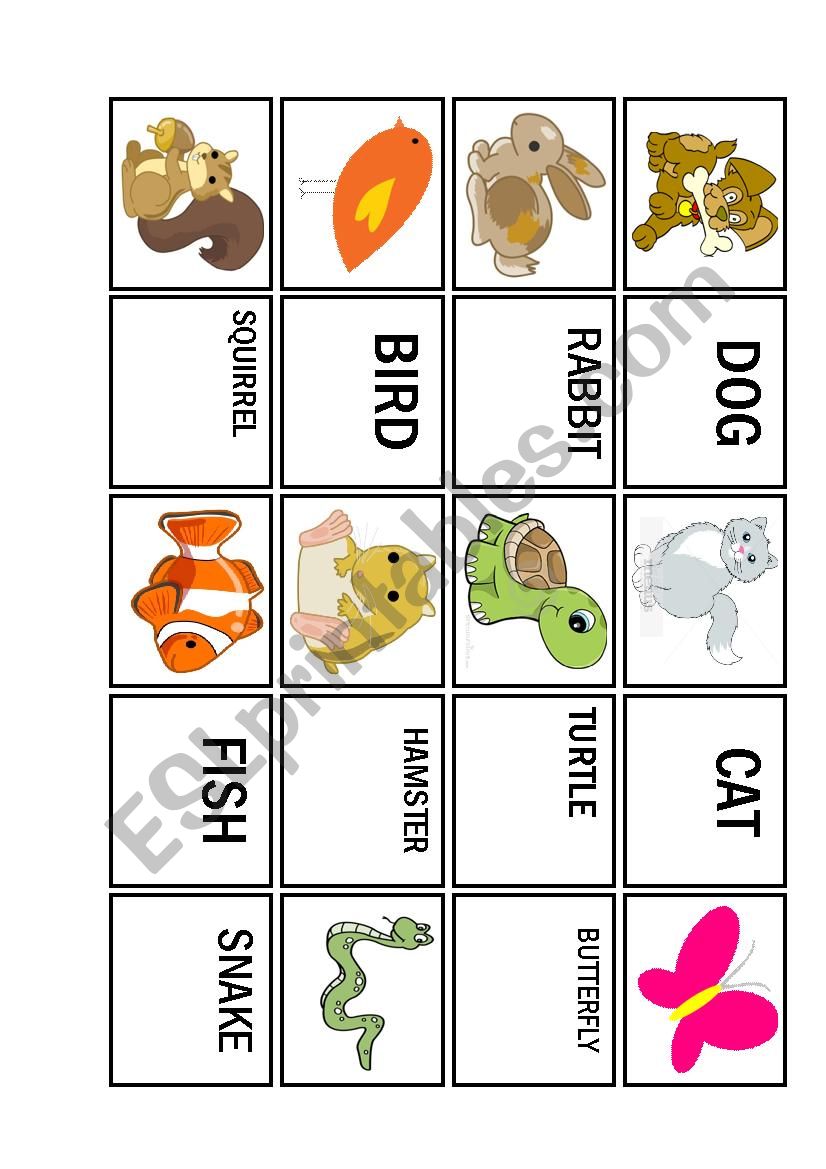 MEMORY GAMES PETS worksheet