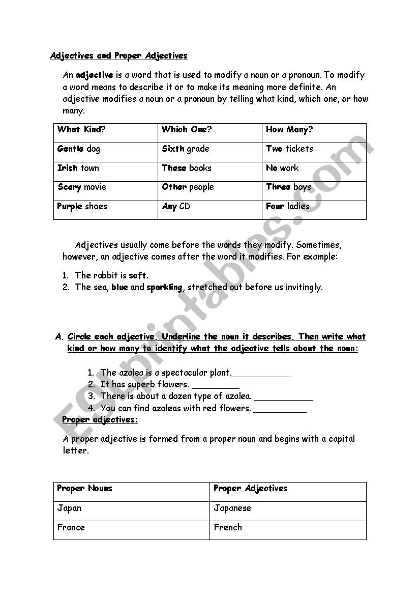 Adjectives worksheet