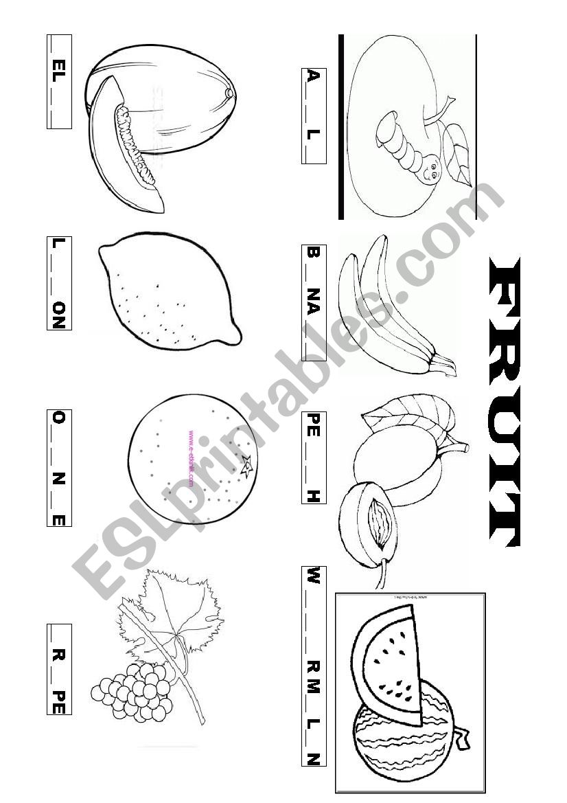 FRUIT worksheet