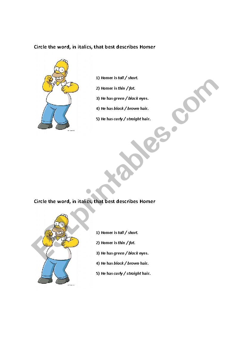 Physical description worksheet