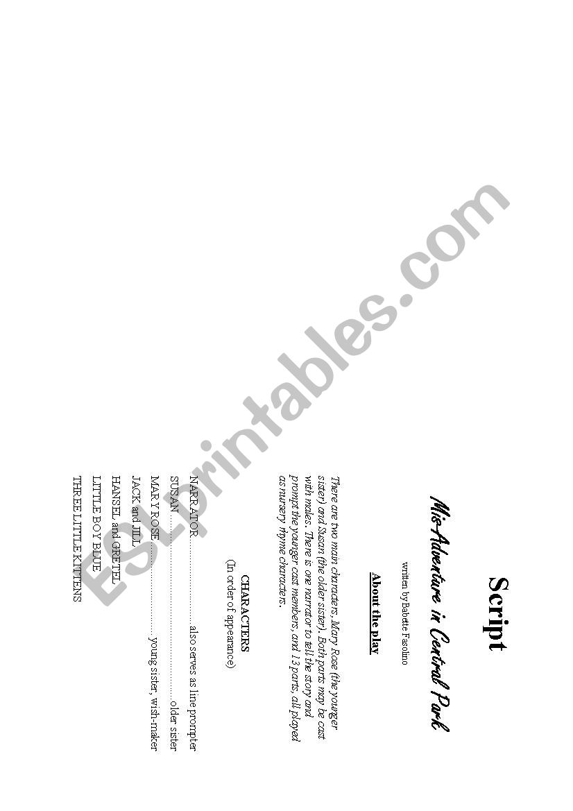 Misadventure in Central Park worksheet