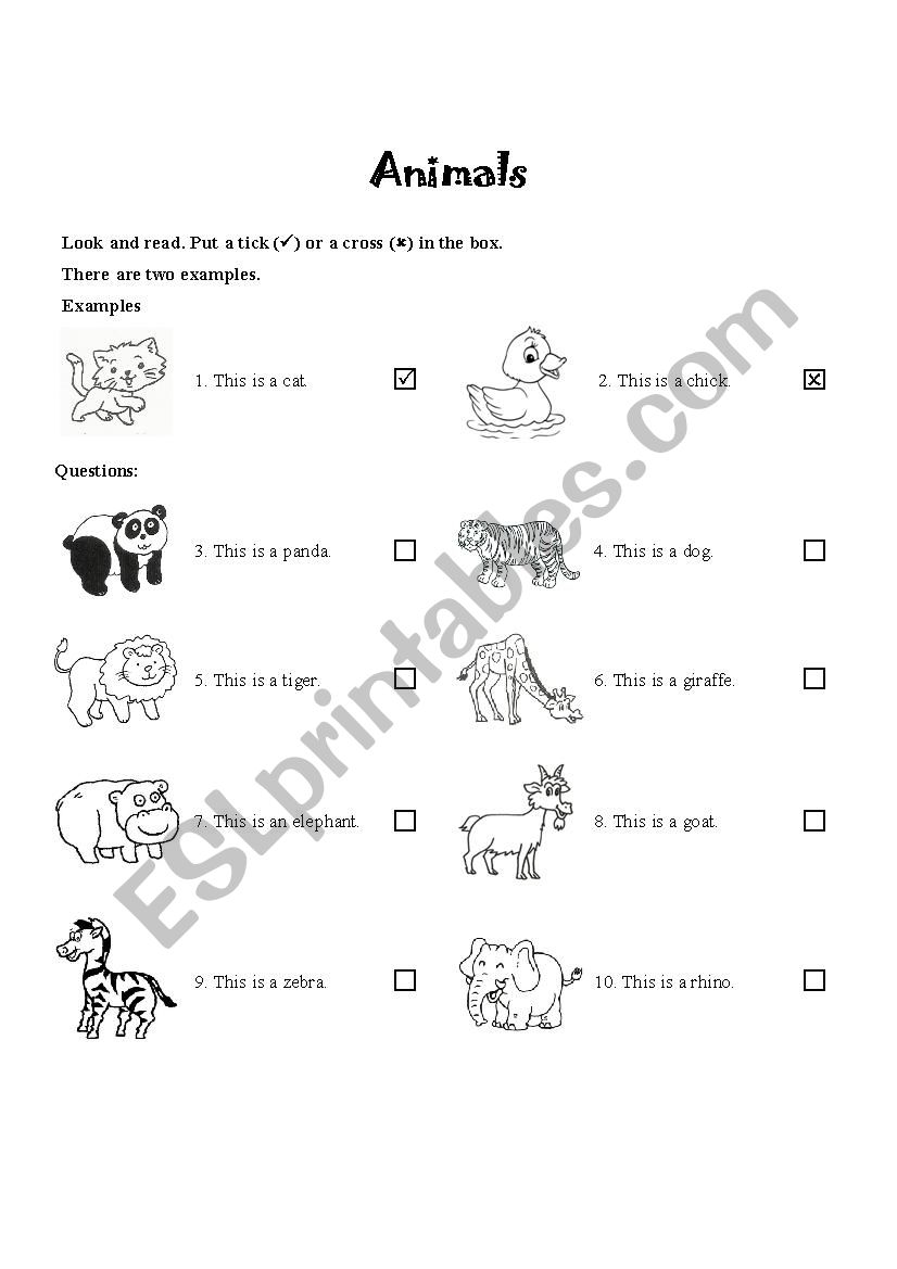 animals worksheet