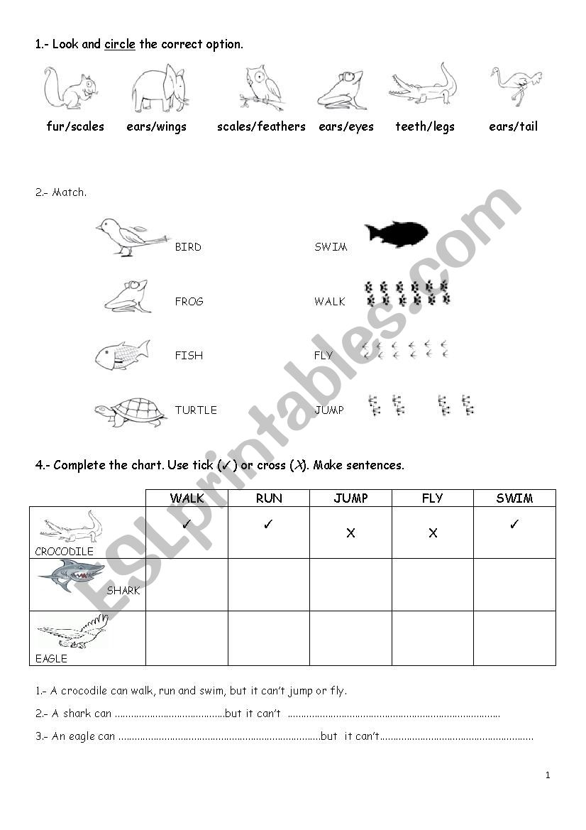 ANIMALS worksheet