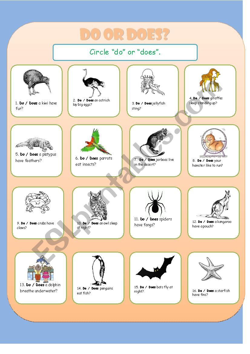 Do Does with Animal Questions worksheet