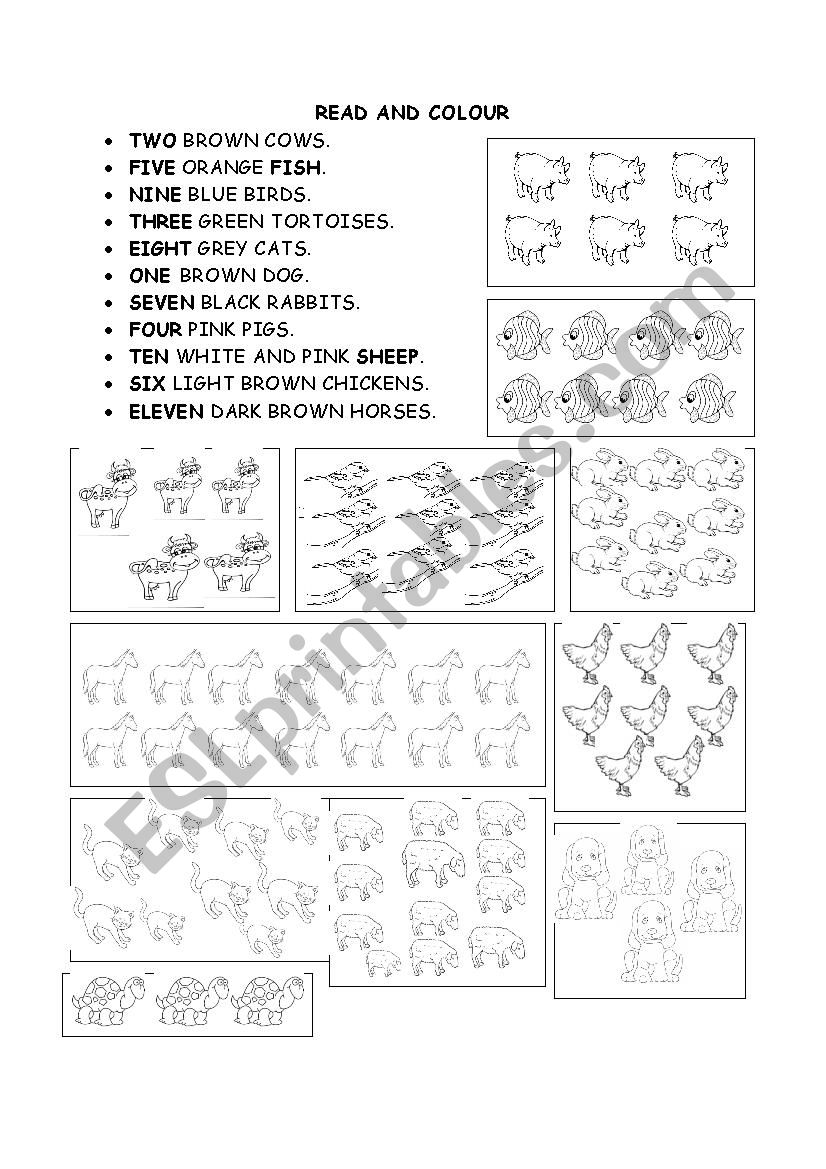 Numbers, animals and colours worksheet