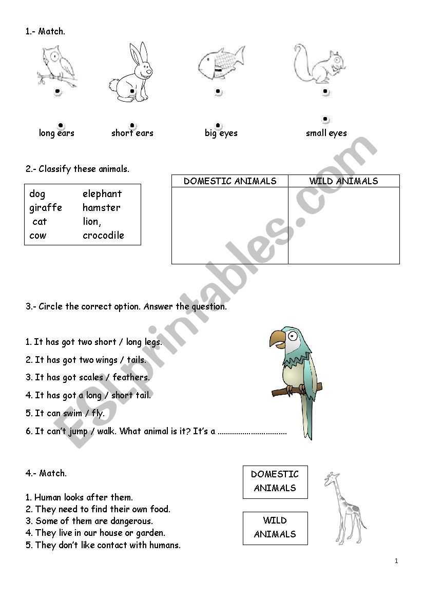 Domestic and wild animals worksheet