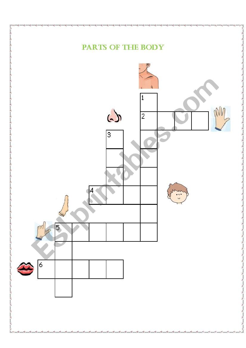 Parts of the body  worksheet