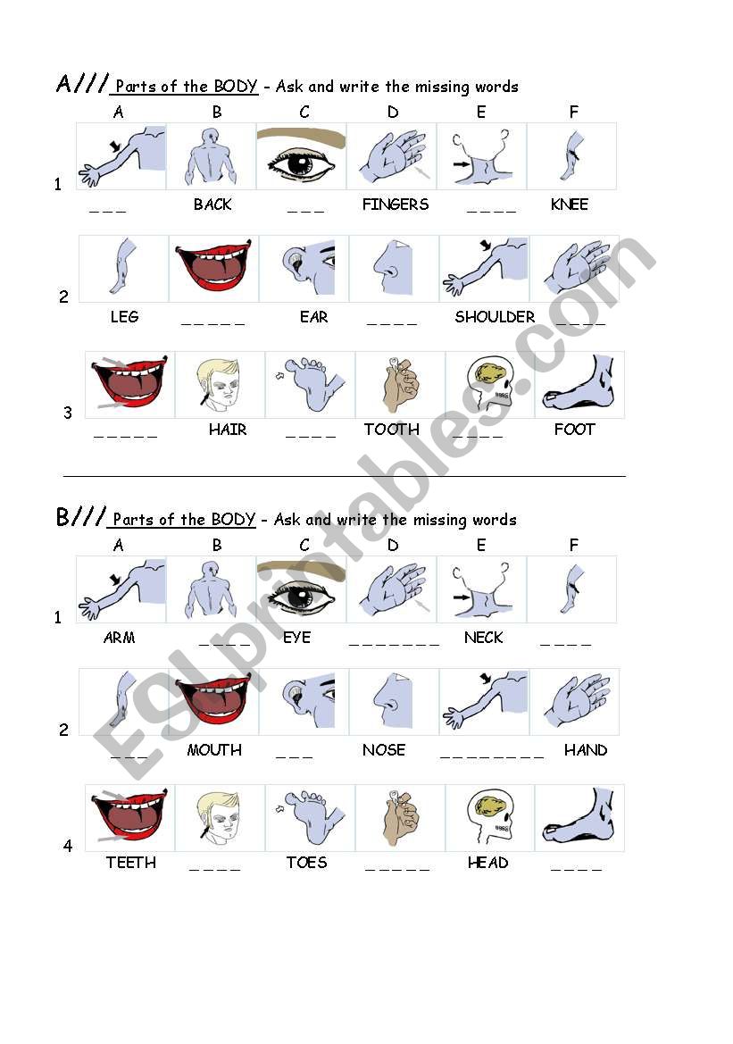 PARTS OF THE BODY- spelling worksheet