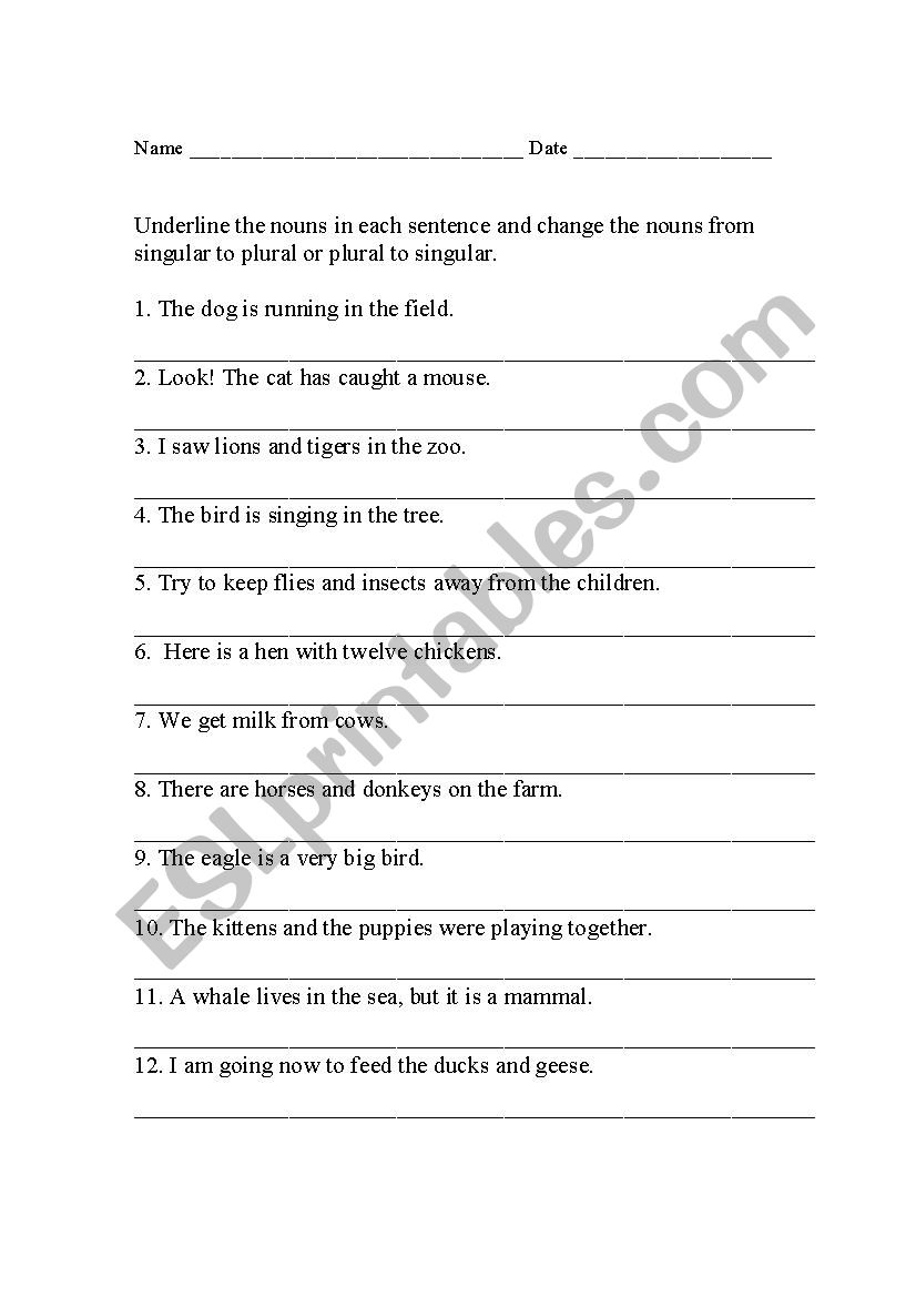 singular plural worksheet