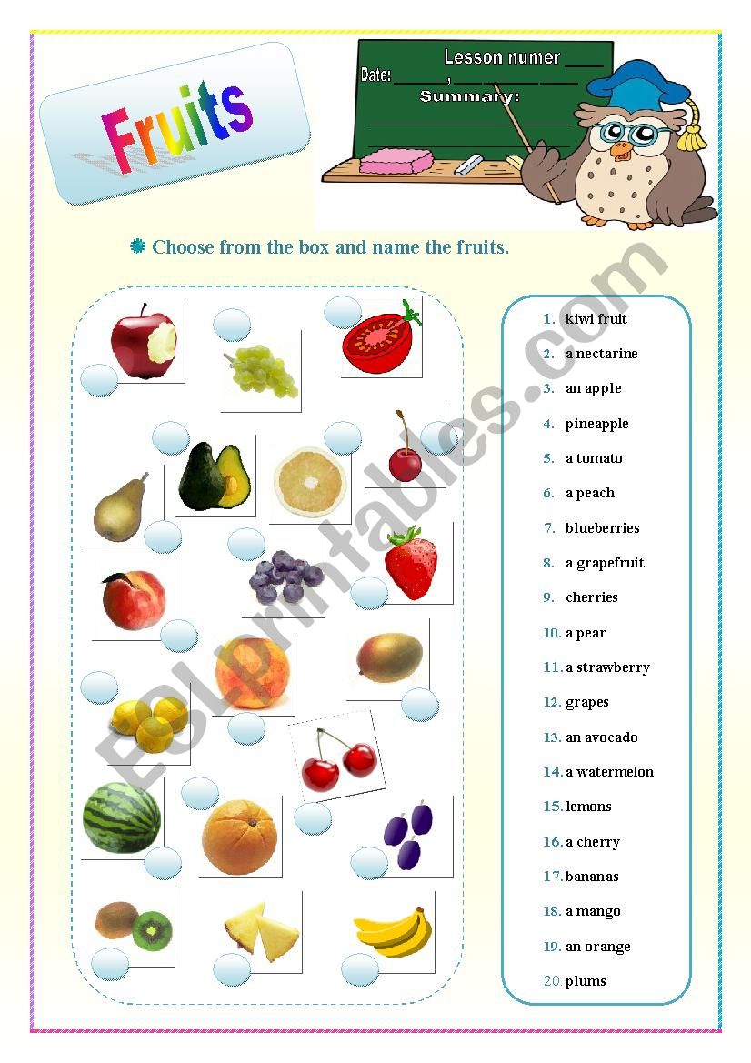 Fruits worksheet