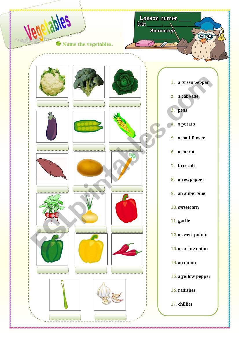 Vegetables worksheet