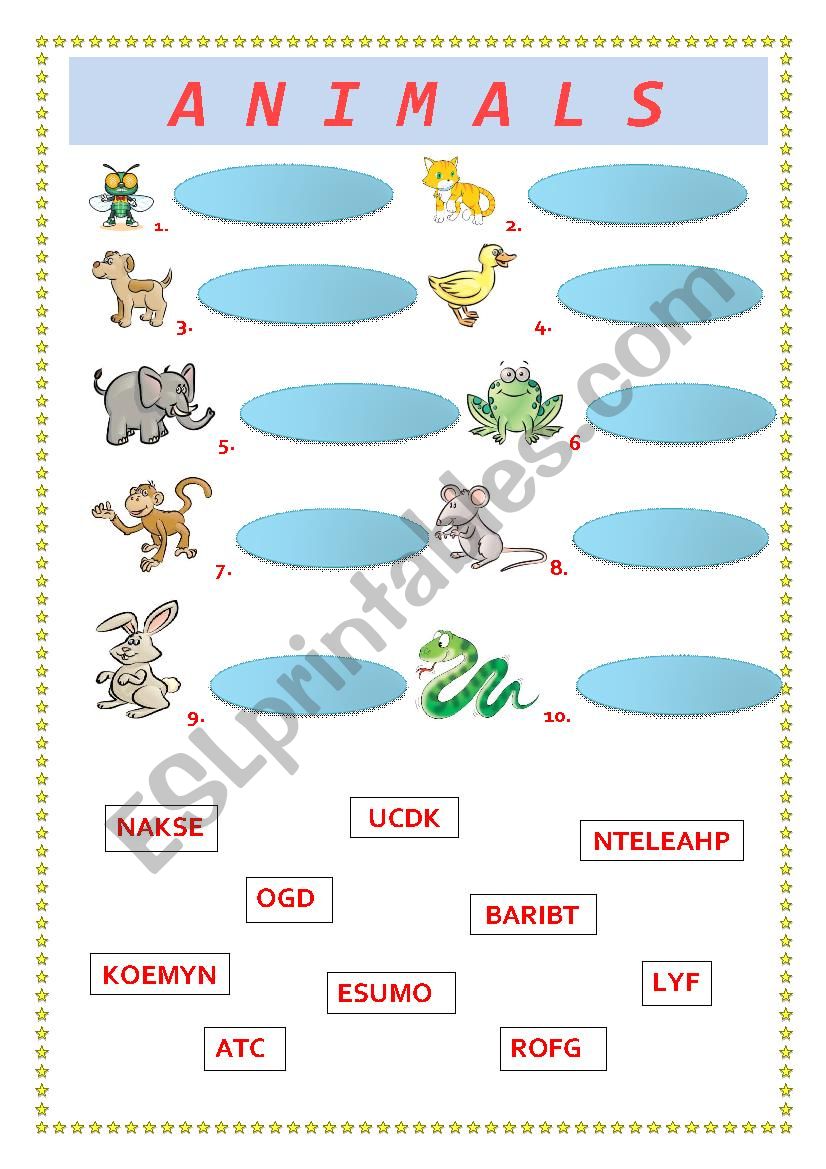 ANIMALS worksheet