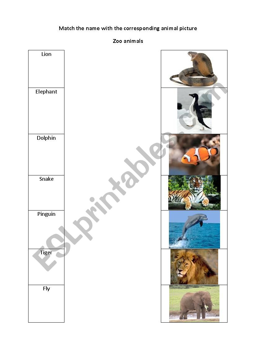Some zoo animals worksheet