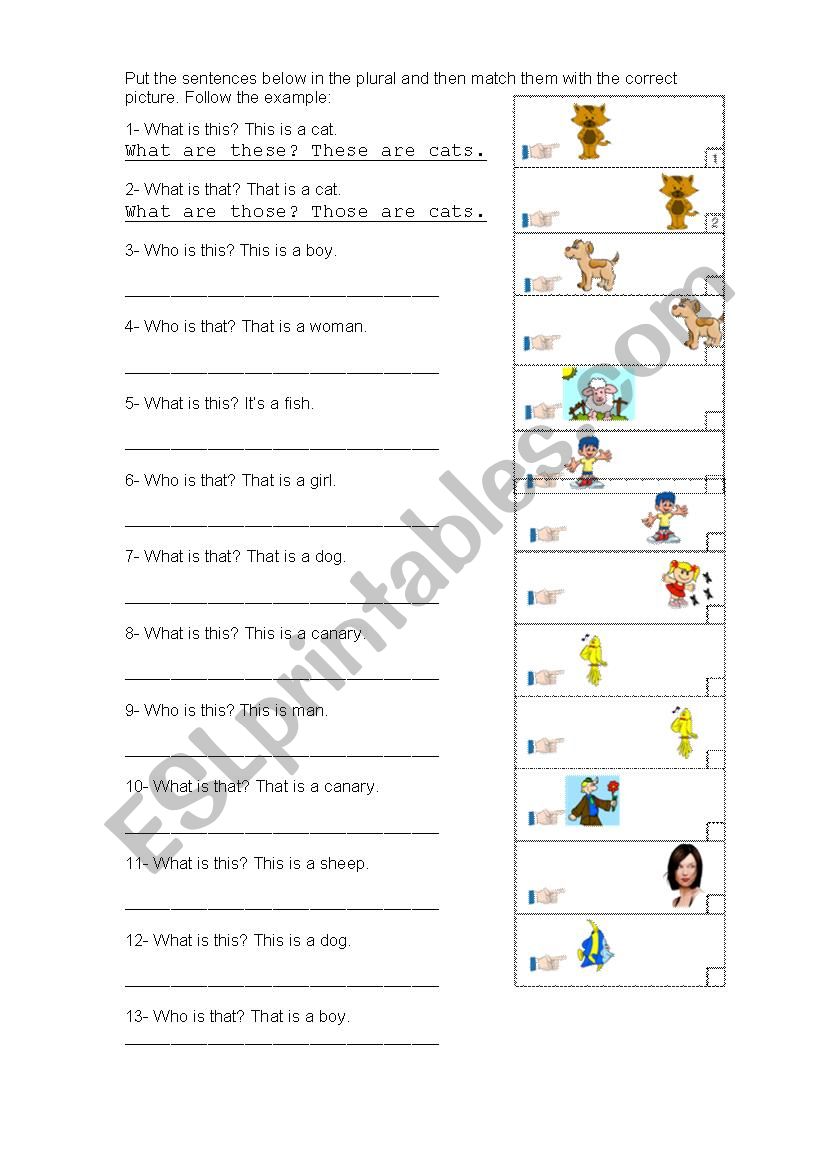 Plurals worksheet