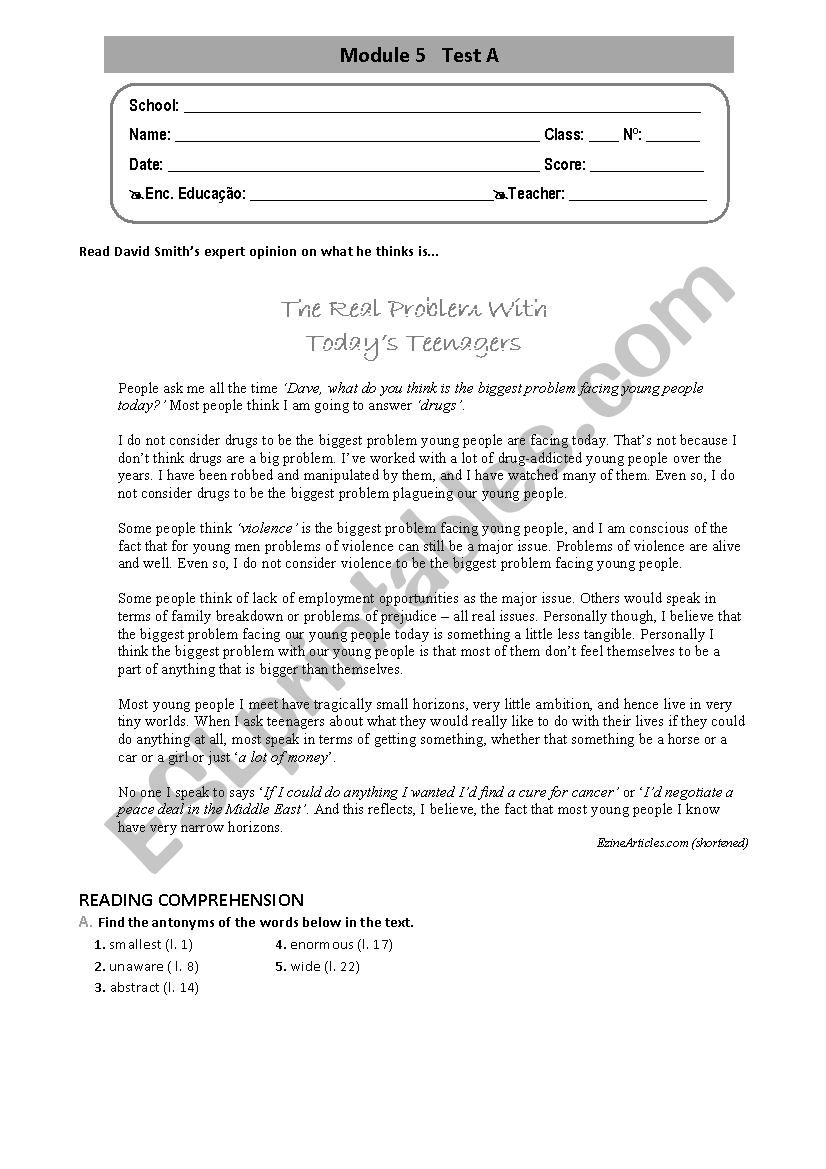 Test on teenagers world worksheet